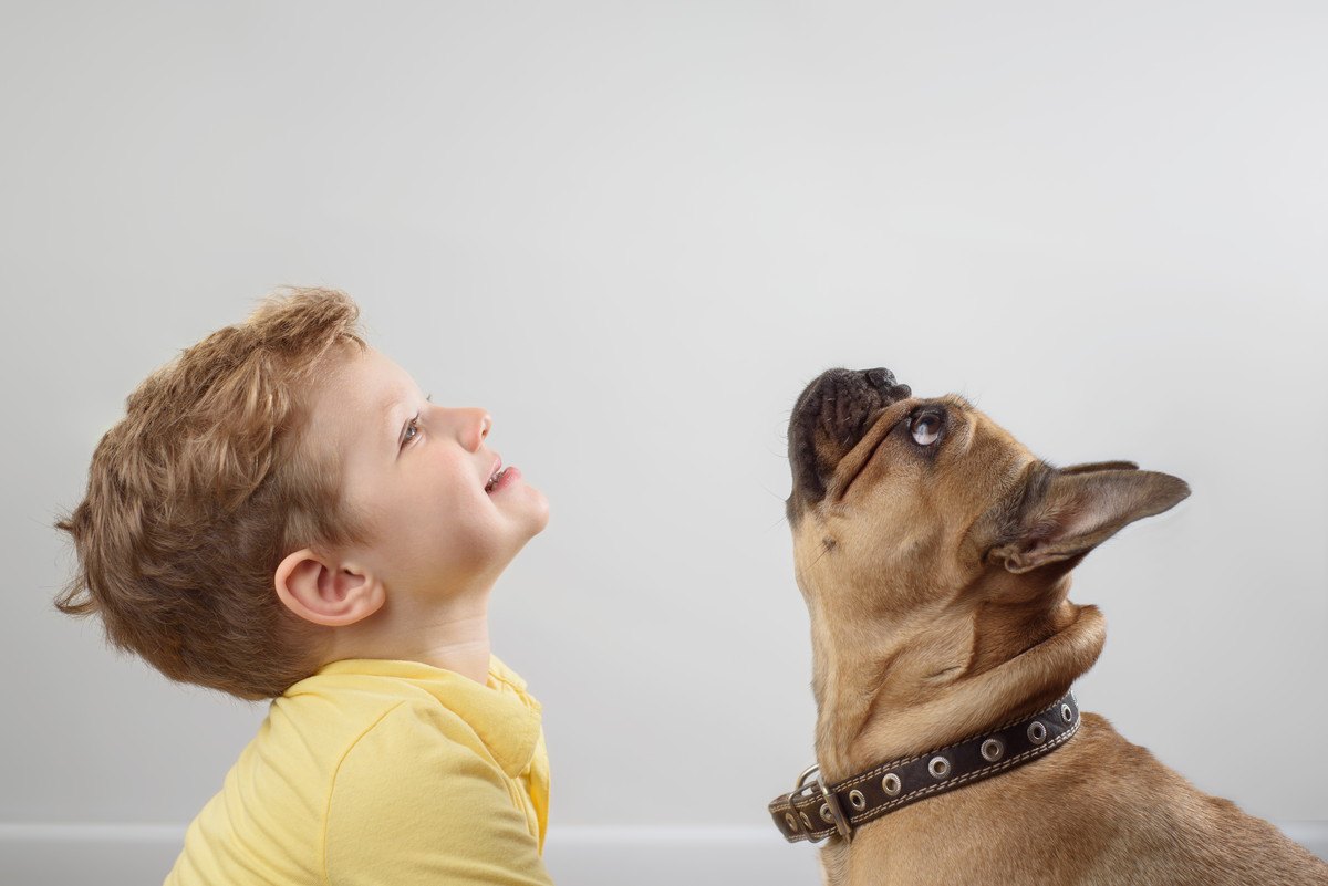 犬の飼い主が絶対にしなければいけない『3つのこと』