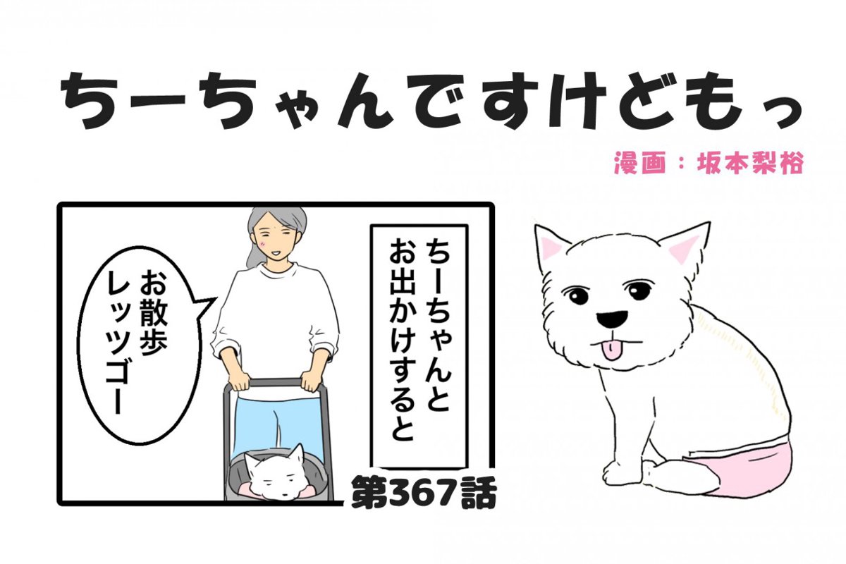 ちーちゃんですけどもっ【第367話】「飼い犬の影に隠れる私の存在」
