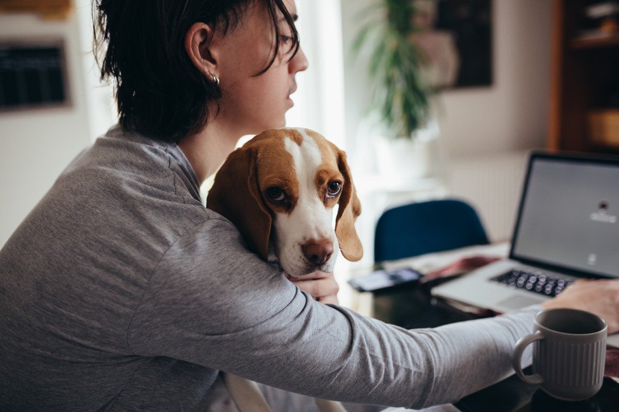 愛犬のブログを書くときの注意点３つ