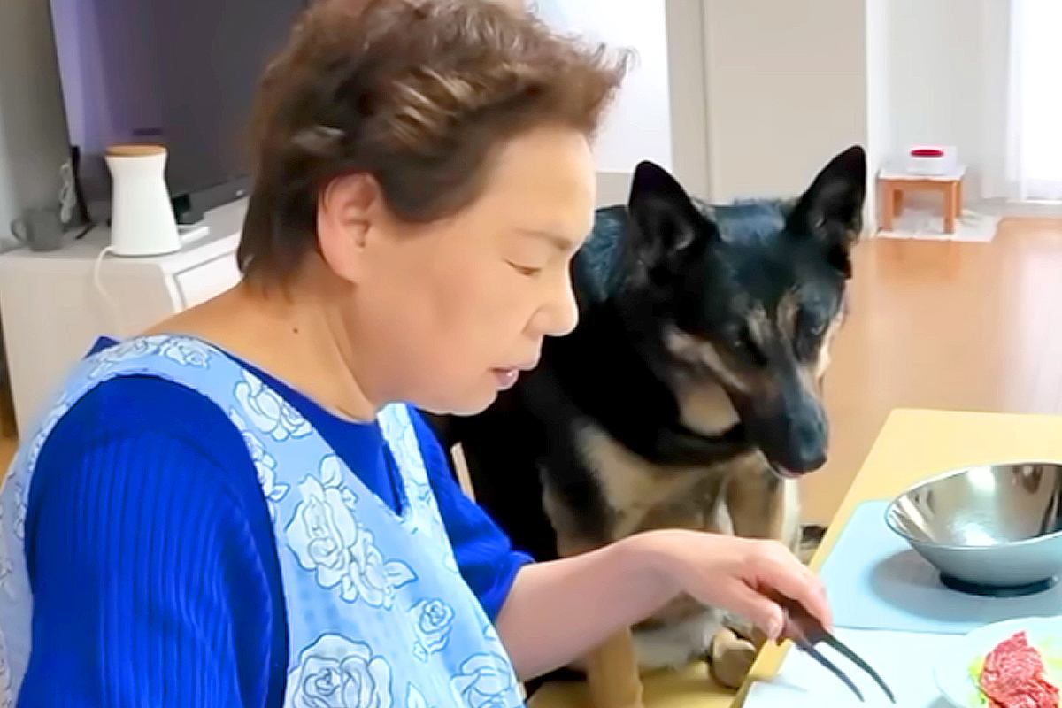 大型犬をおばあちゃんに預けた結果→こっそり覗くと、ふたりで『お昼ごはん』を…尊すぎる光景が51万再生「お行儀が良すぎて驚き」「孫みたい」
