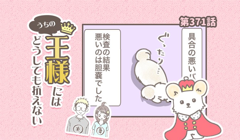 うちの王様にはどうしても抗えない【第371話】「バンビ闘病記③」