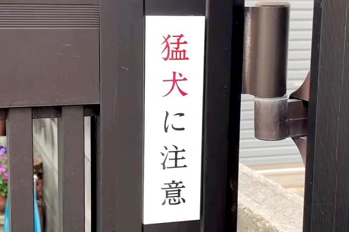 玄関先に『猛犬注意』の看板→『こわいワンコが出てくる』と思いきや…想定外すぎる『まさかの光景』が42万再生「天使で草」「ニッコニコｗ」