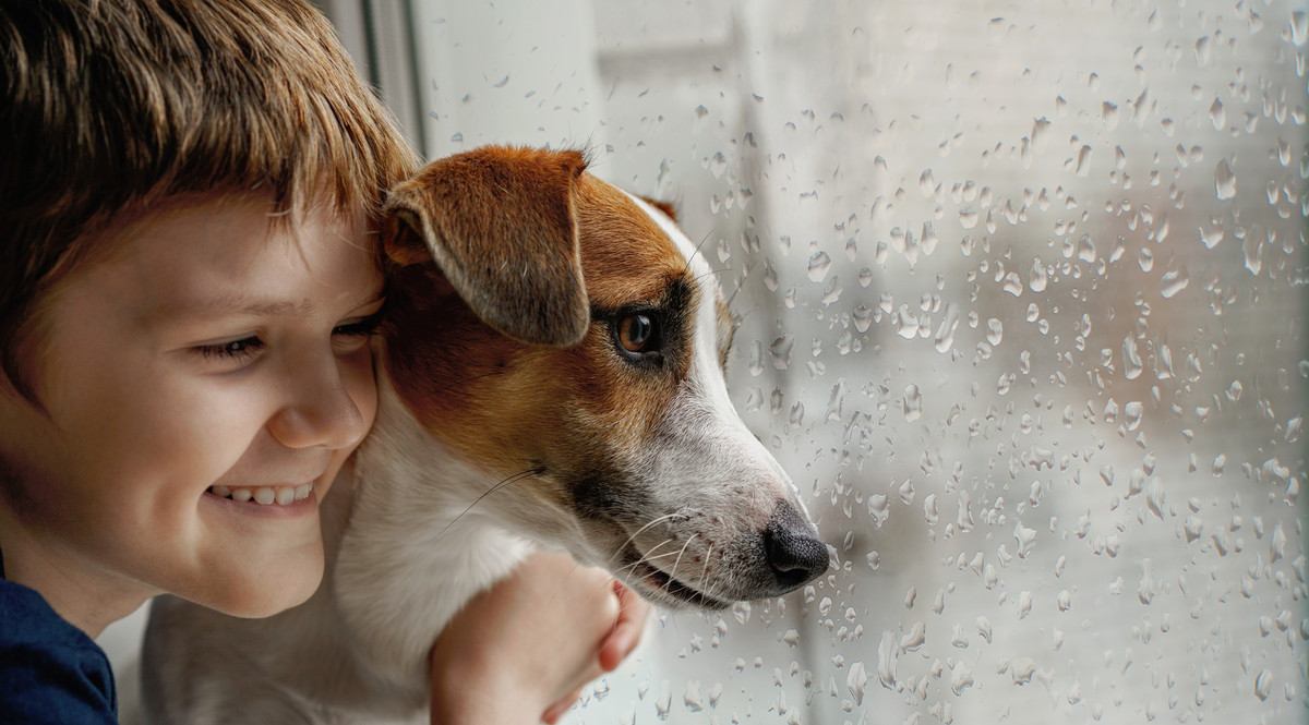 雨の日こそ愛犬が室内で楽しめる遊びを考えよう！家にあるもので簡単にできる宝探しゲームがおすすめ