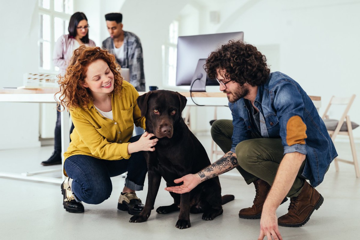 犬には苦手な『柄』がある！？実験結果でわかった嫌いな柄とは？