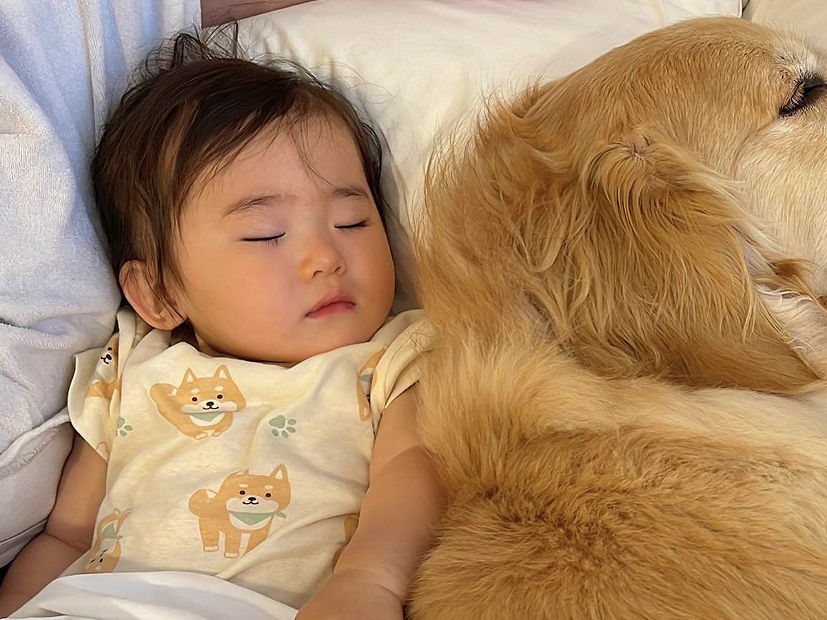 1歳の女の子が別のベッドで寝ようとした結果→2匹の犬が…悶絶級の『尊すぎる光景』に2万いいね「みんな可愛い」「天使がいる…」と絶賛の声