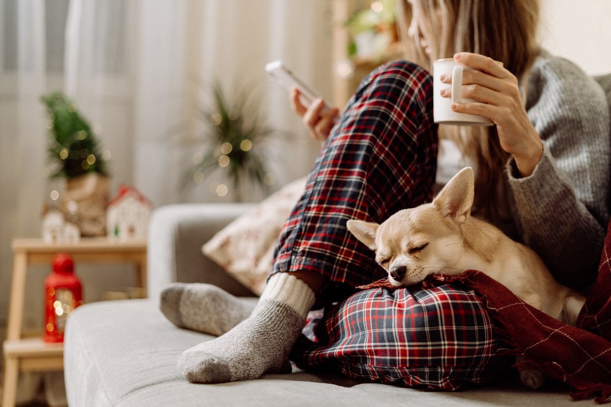 犬が飼い主に『くっついてくる』心理5選　離れようとしないのはなぜ？飼い主がすべき対応まで