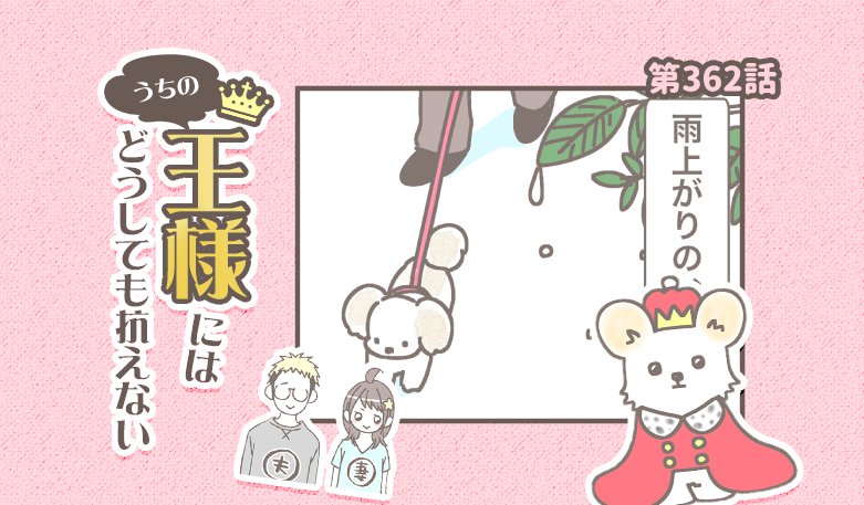 うちの王様にはどうしても抗えない【第362話】「雨上がり」