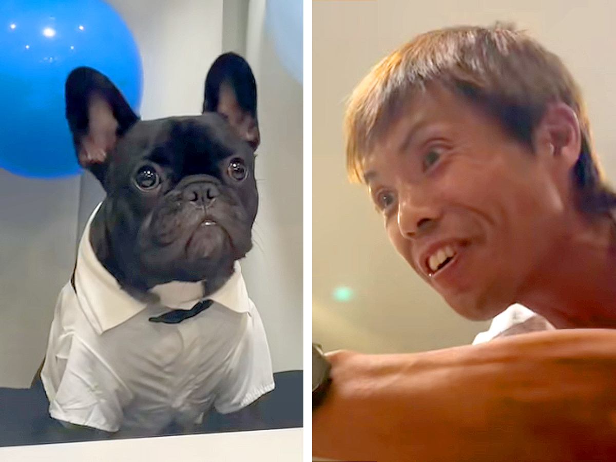 犬を飼うのに反対していた父→実際に暮らしてみた結果…思っていたのと違う『まさかの末路』が77万再生「最高すぎｗｗ」「逆に冷めてて爆笑」