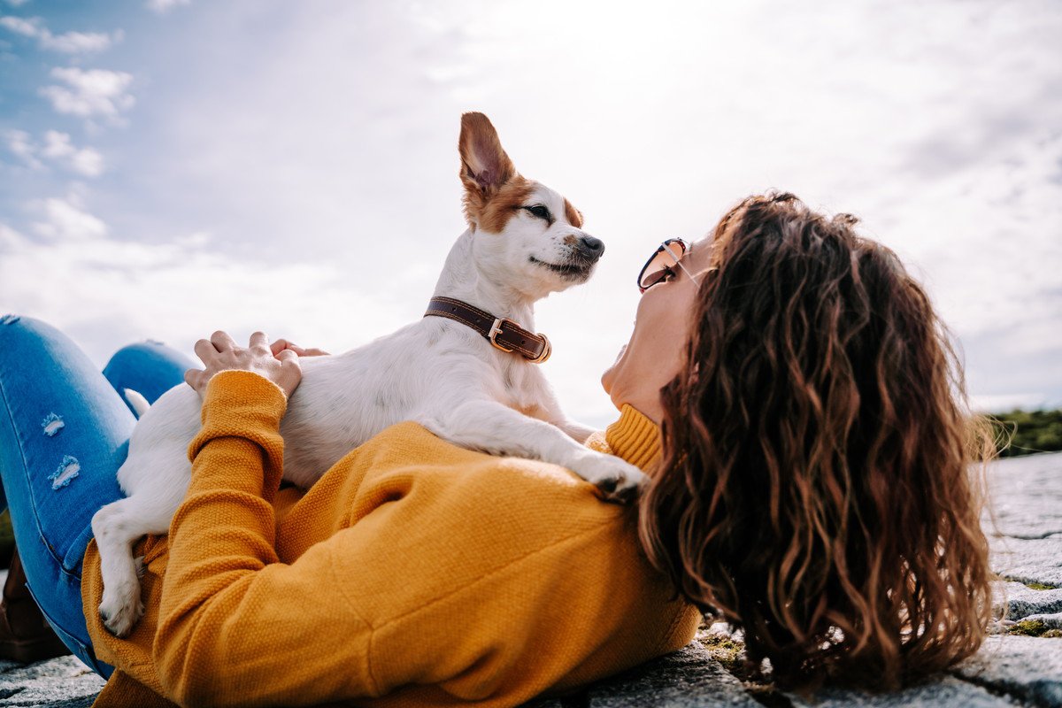 愛犬が飼い主の体をホリホリするのはなぜ？考えられる5つの心理とやめさせたい時の対処法