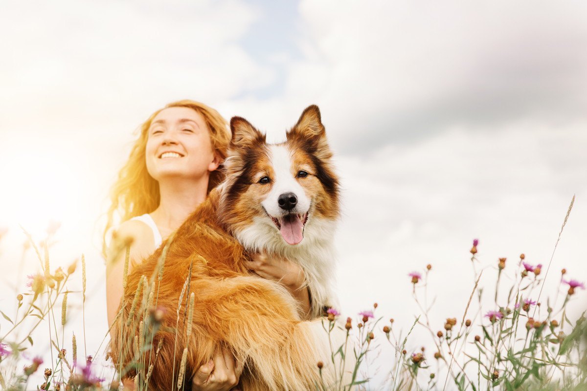 ルンルン♡犬の『機嫌が良い時』の仕草3選