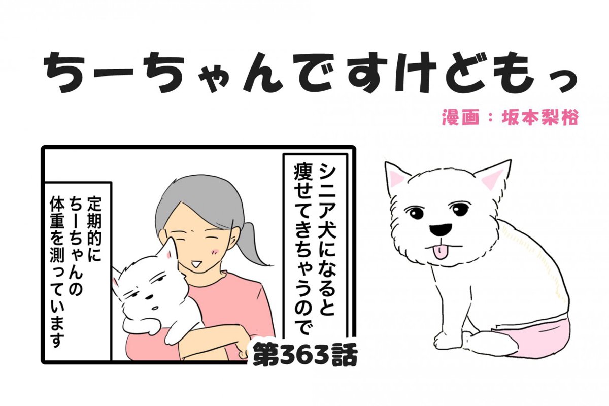 ちーちゃんですけどもっ【第363話】「シニア犬は太りにくいのに」