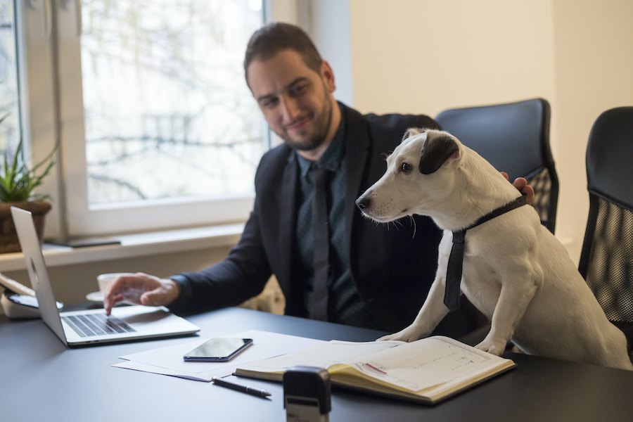 アメリカの会社が実証している「職場に犬を連れて来るメリット」