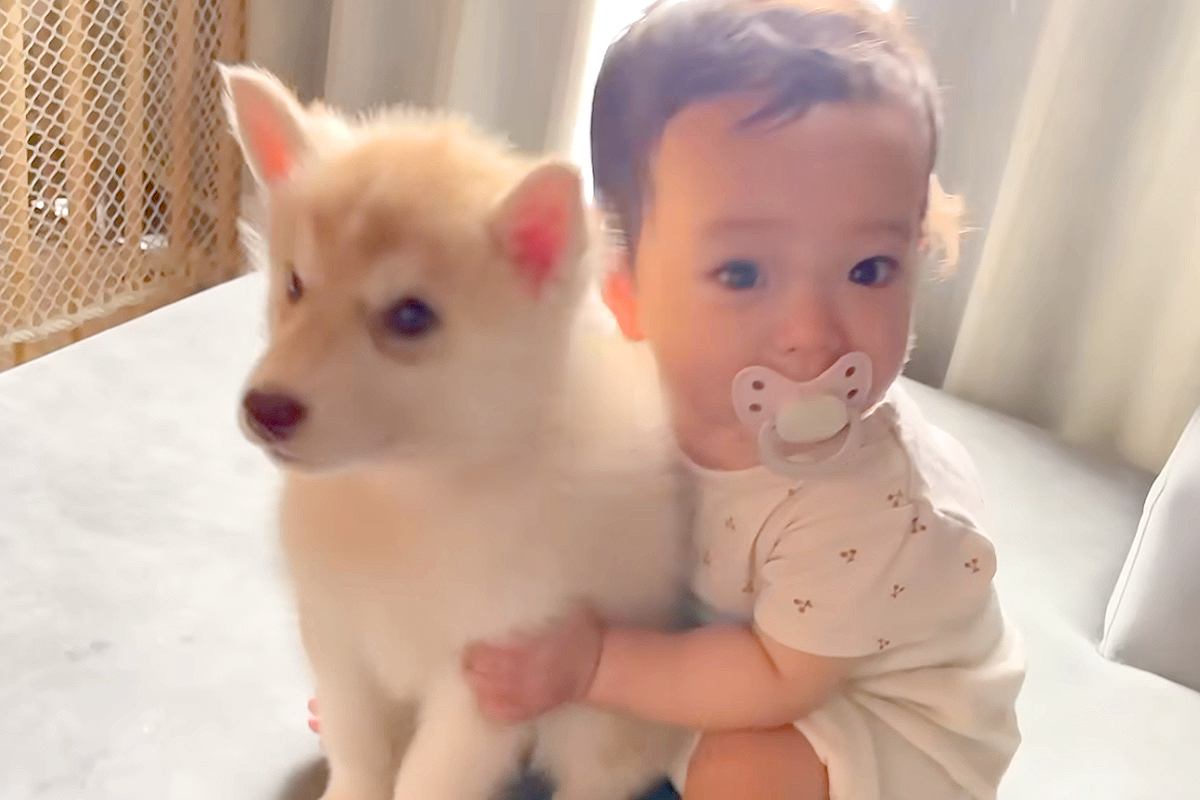 赤ちゃんが『生まれたときから大型犬の子犬と育った』結果→3年後…あまりにも尊い『成長記録』が27万再生「心打たれた」「なんて素敵な家族」