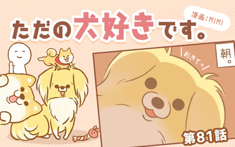 ただの犬好きです。【第81話】「いつもの朝」