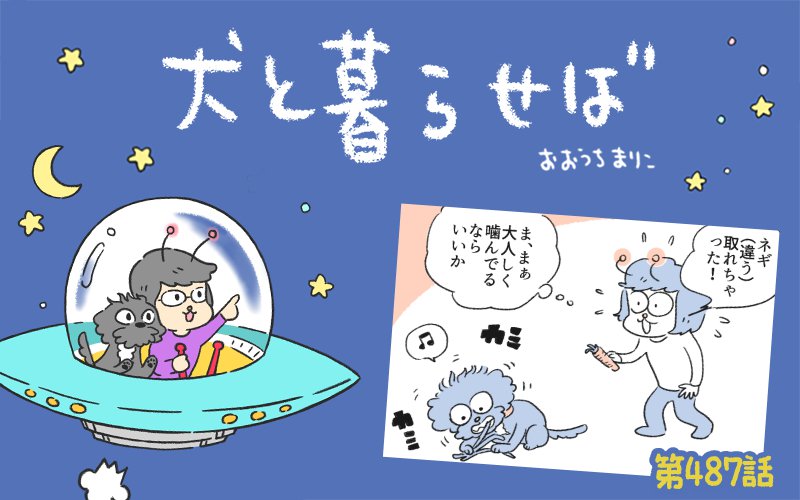 犬と暮らせば【第487話】「消えたネギ②」