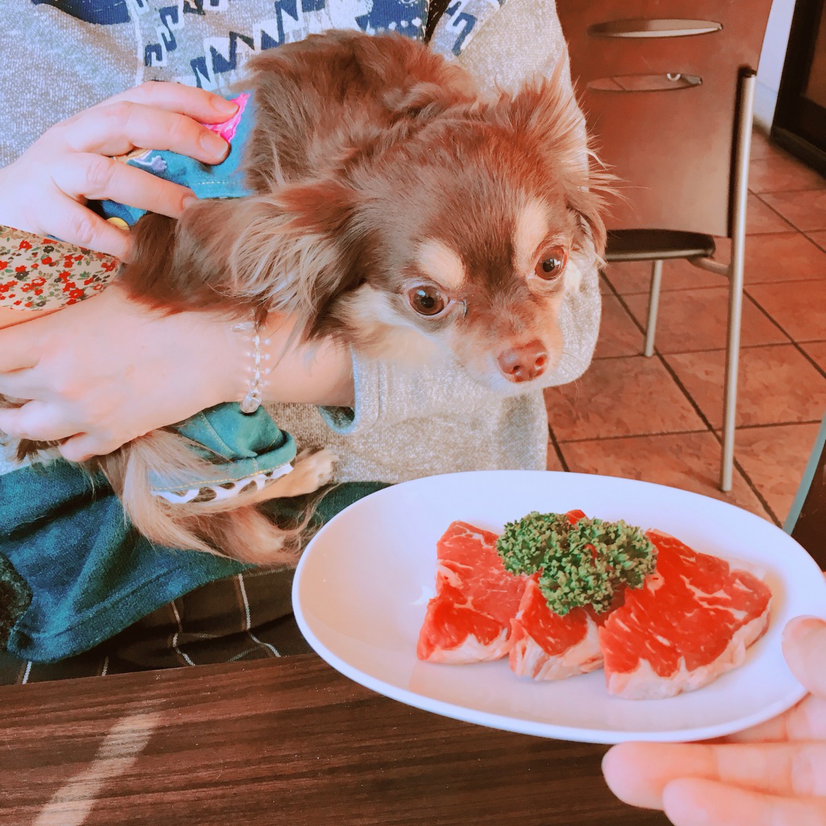 犬と一緒に楽しめる牛タン専門店「うしすけ」に行ってみた！