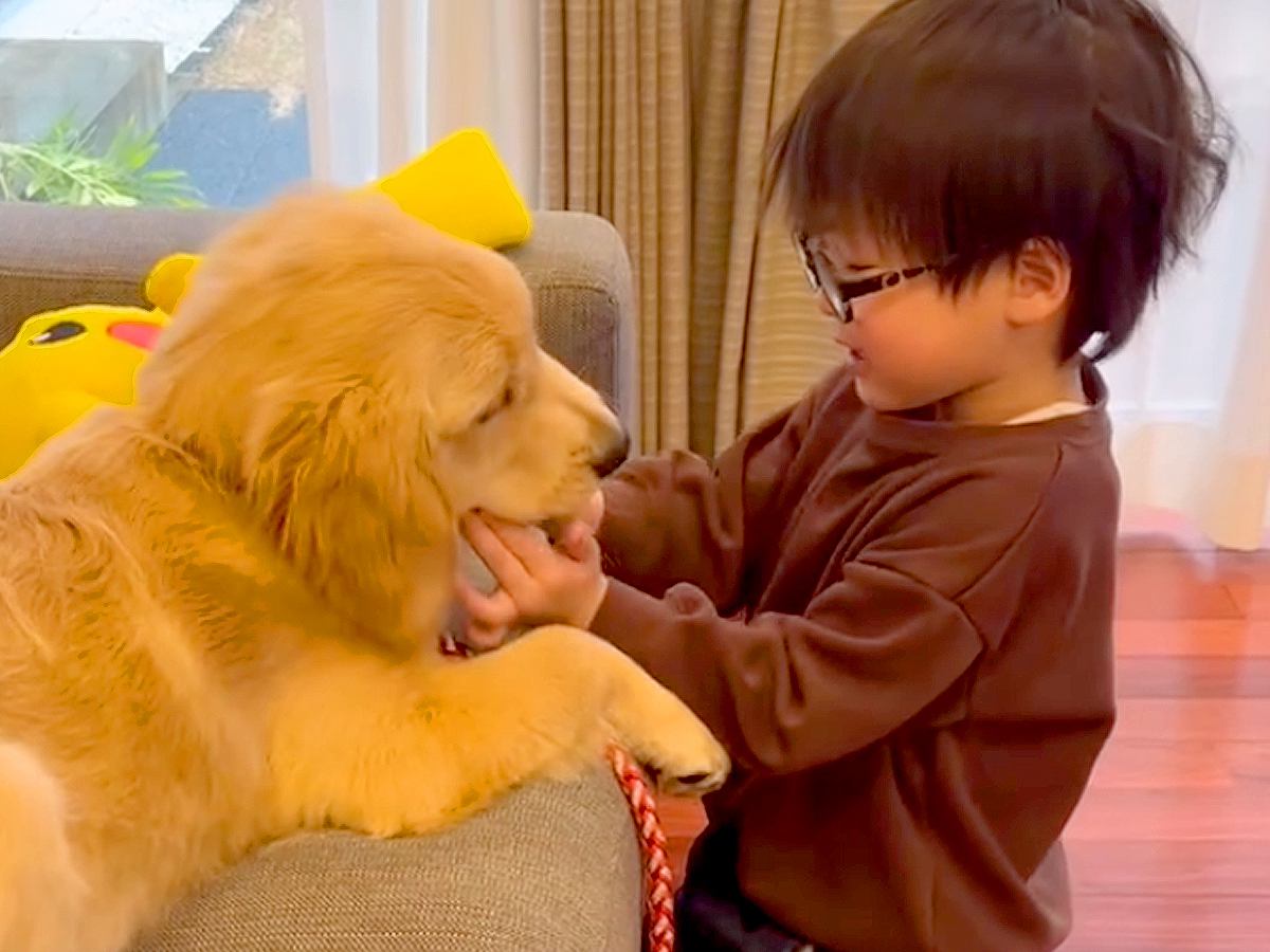 大型犬の赤ちゃんを『3番目の子ども』として大切に育てた結果…尊すぎる『1年間の成長記録』が70万再生「人間にしか見えない」「感動した」