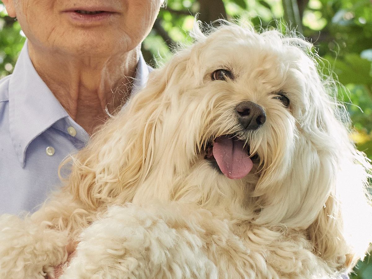 『おじいちゃんの犬の抱っこ』と『飼い主の犬の抱っこ』比較してみた結果…同じ犬とは思えない『まさかの光景』が220万表示「顔ｗｗ」と爆笑