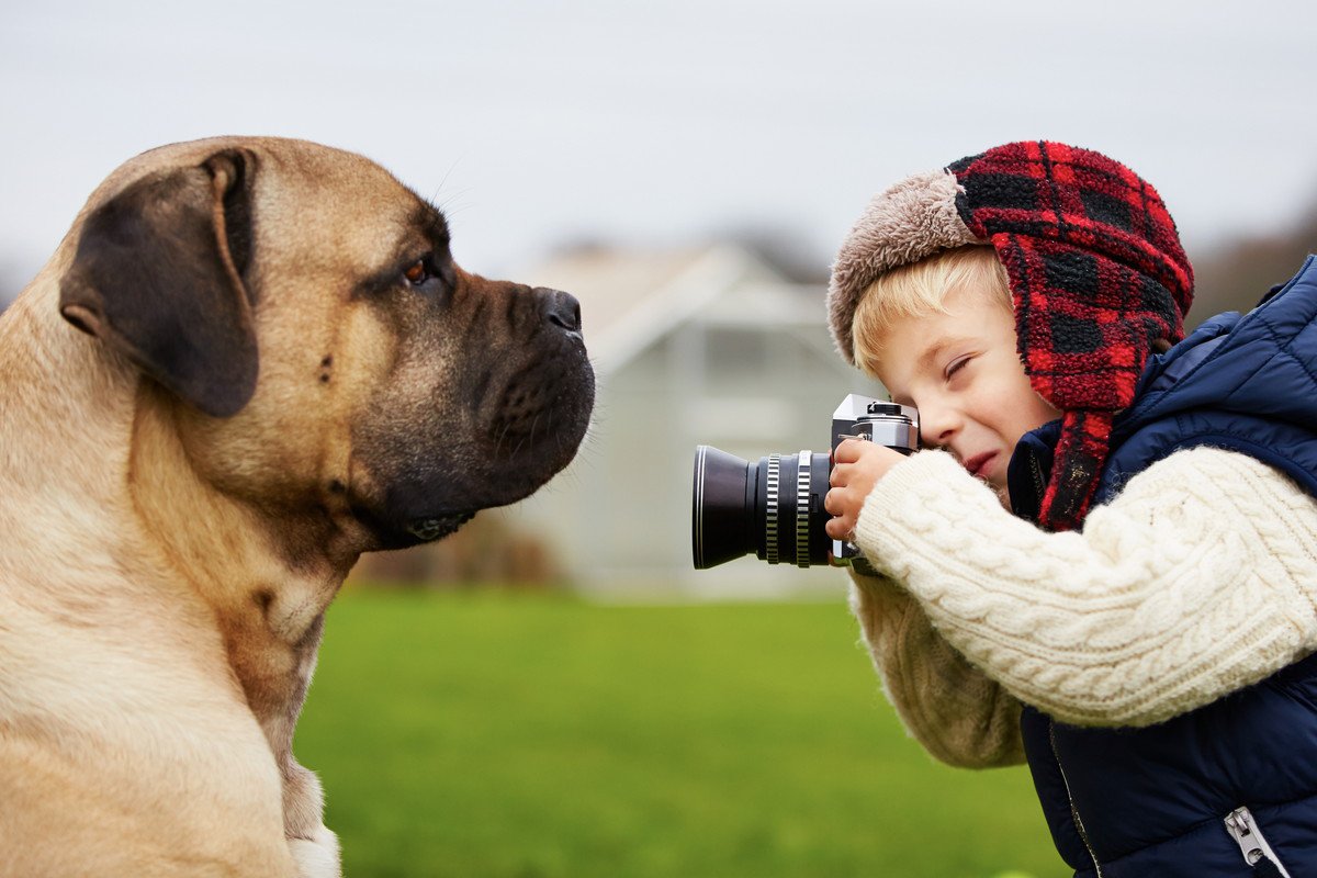 撮っておくべき『愛犬の写真』4選！その瞬間にしかない思い出は残しておいて