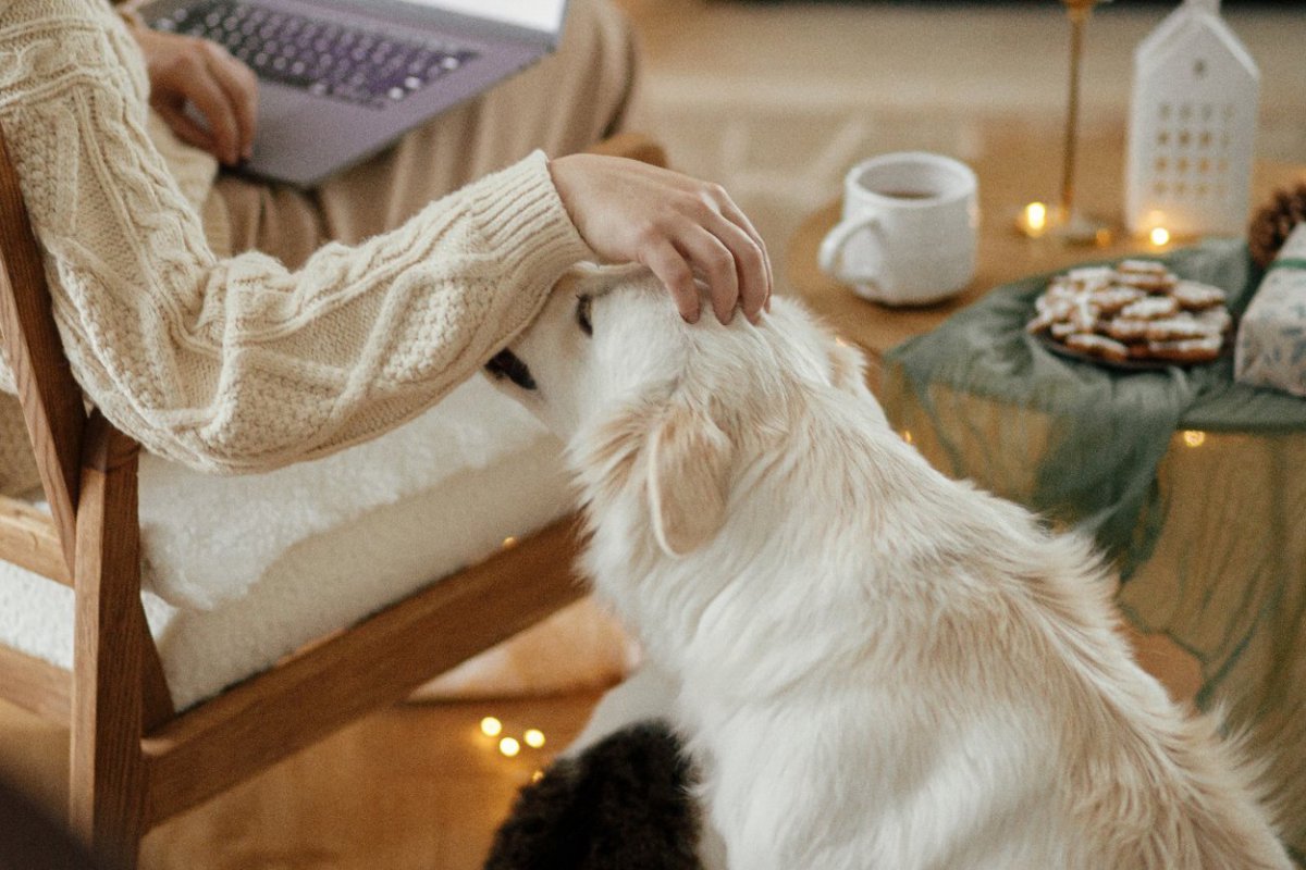 可愛すぎる…！犬が『撫でるのやめないでください』とアピールしている時の仕草や行動3選