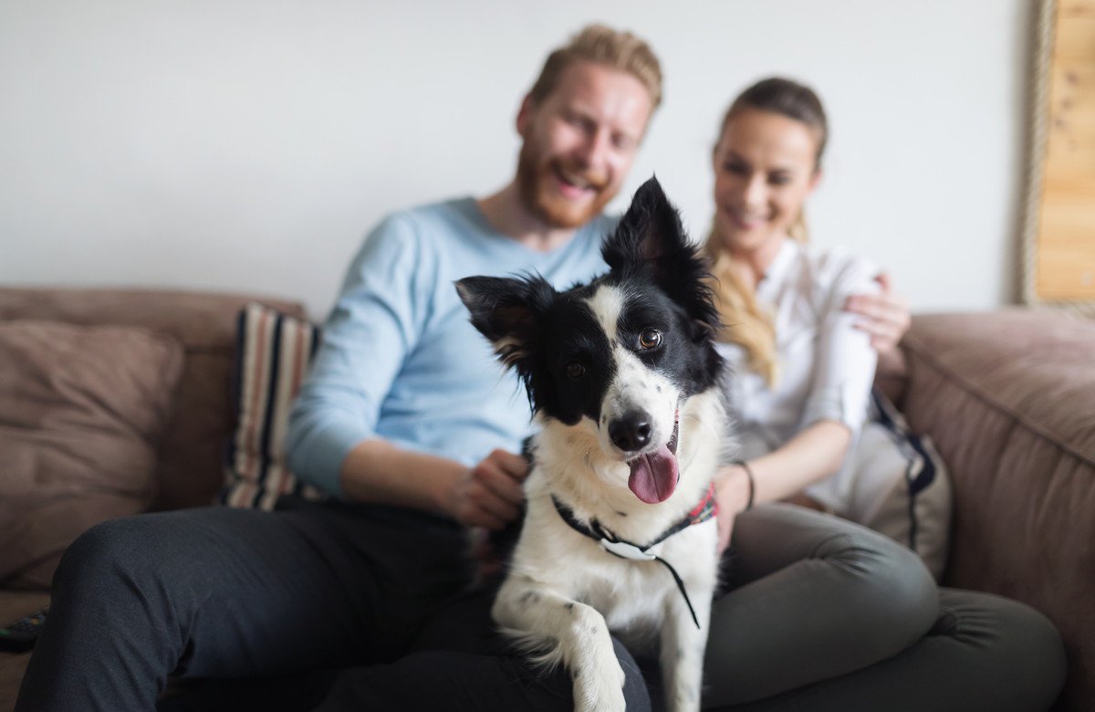 『犬は飼い主に似る』は本当なの？どういった所が似てくるの？