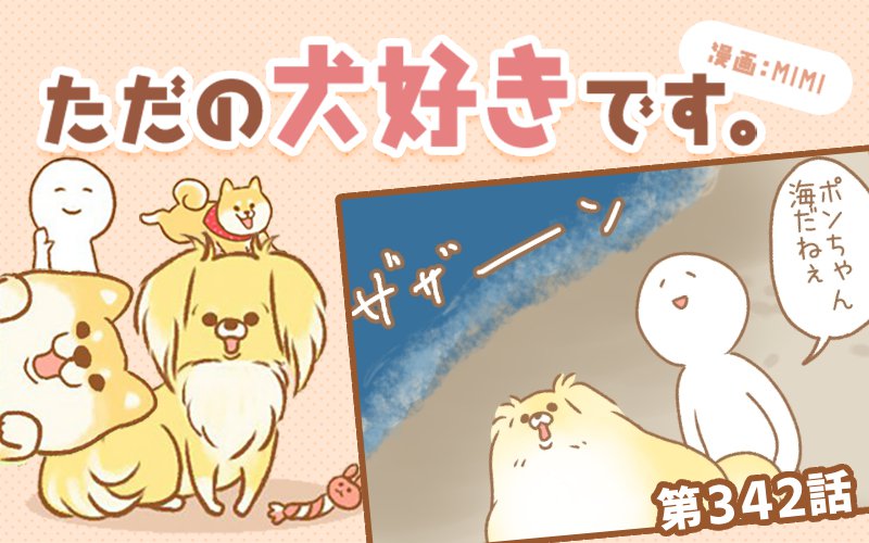 ただの犬好きです。【第342話】「どうして今」