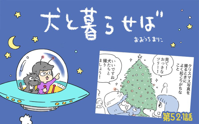 犬と暮らせば【第521話】「聖夜の罠」