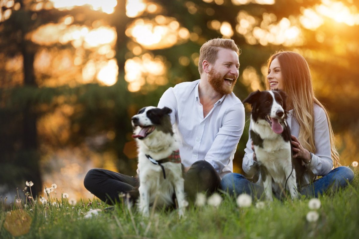 デートアプリのプロフ画像が犬と一緒の男性は真面目な人？【研究結果】