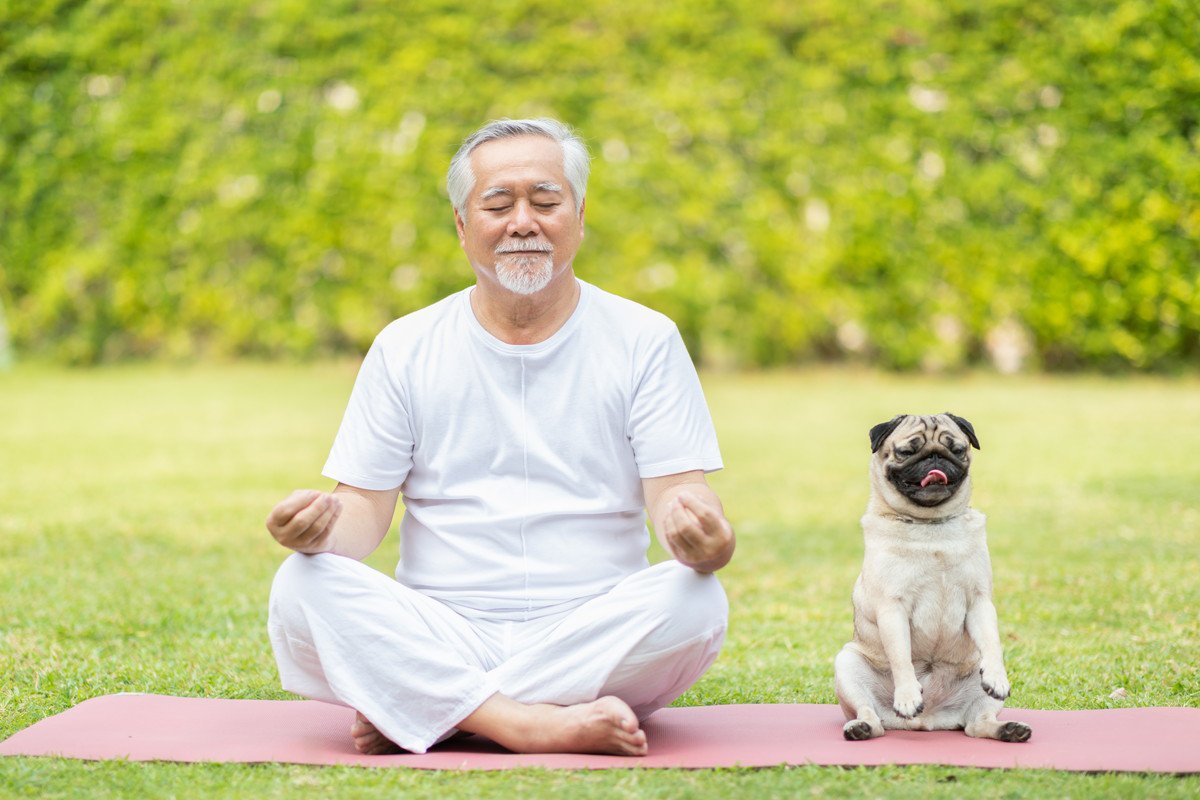 犬を飼っていると『飼い主の死亡リスク』が下がる？愛犬がもたらしてくれる影響や研究結果をご紹介