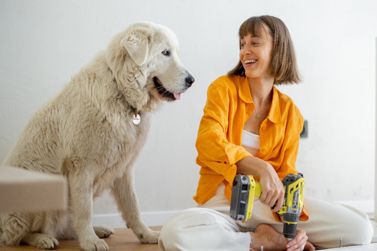 犬のトイレ囲いを100均グッズで手作り！作り方や注意点を紹介