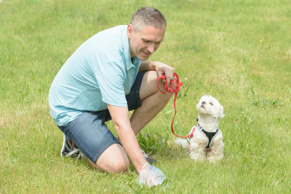 犬のウンチで体調を判断する『4つの方法』健康状態の見極め方や病気のサインまで