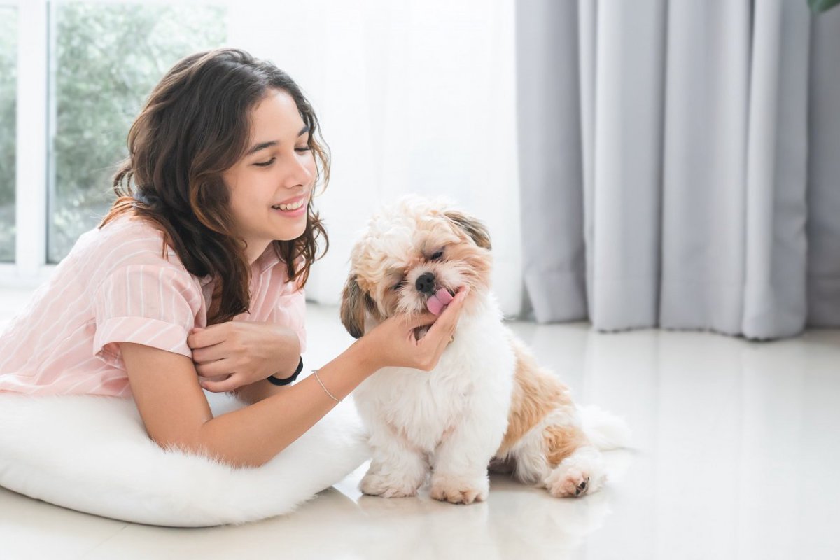 『初心者でもしつけやすい』犬種5選　お迎えする前に押さえておきたいポイントまでご紹介