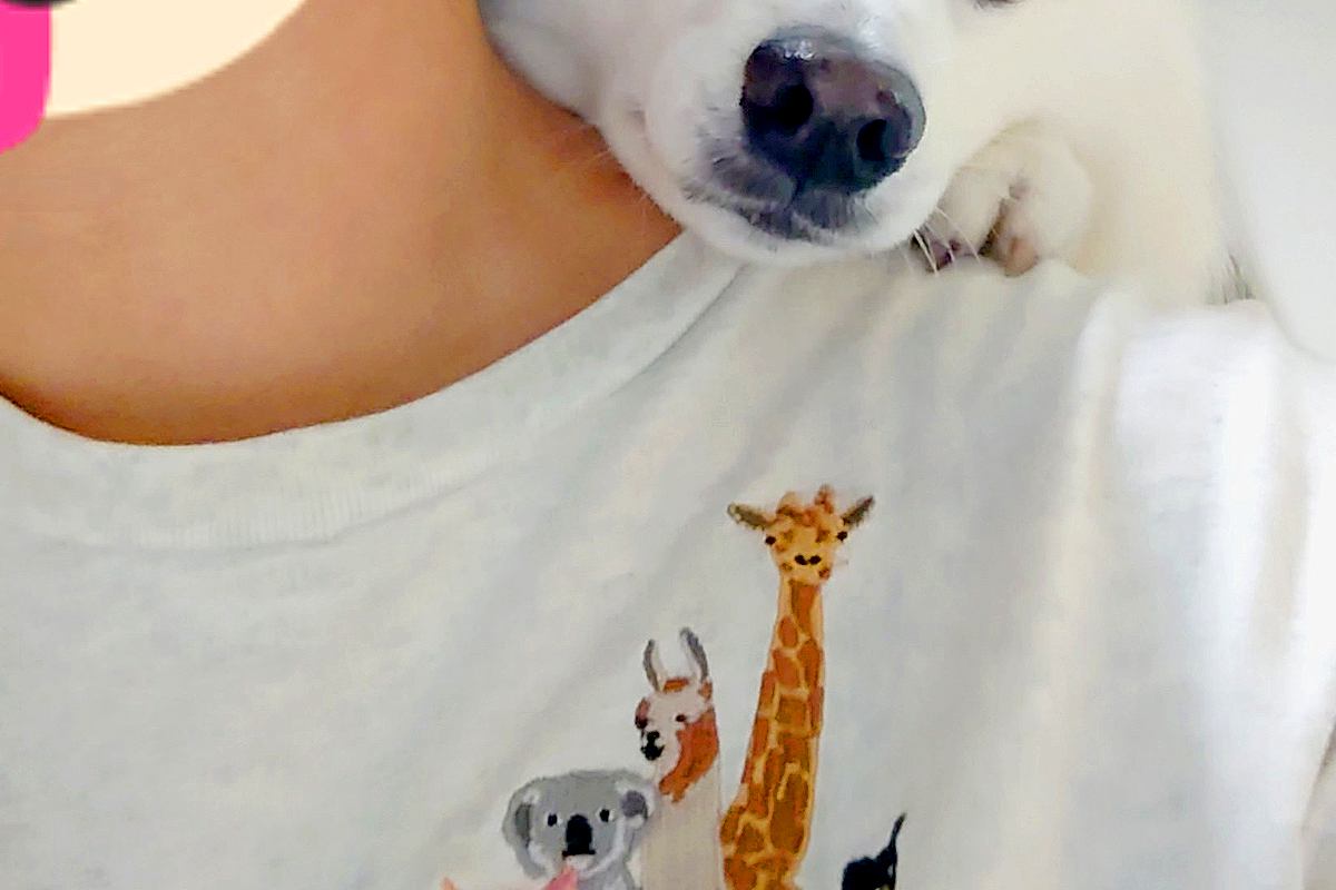 スイカを食べている女性→背後から犬が『ちょうだい』とアピールして…絶対にあげてしまう『要求の仕方』に反響「抵抗できない」「あざとすぎる」