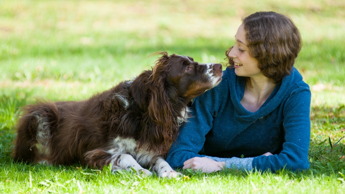 あなたと愛犬の関係性は？犬との絆を確かめる10項目