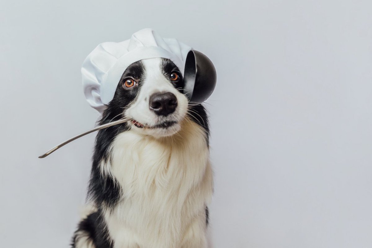 犬に絶対NGな『調味料』5選　食べてしまったときに出る症状に「怖い」「いつも以上に徹底する」