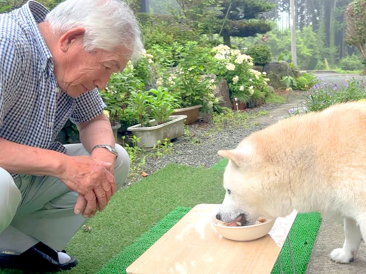 おじいちゃんが『犬を孫のように可愛がった』結果…時間が止まってほしいほど『優しくて尊い光景』が27万再生「やり取り最高」「愛を感じる」