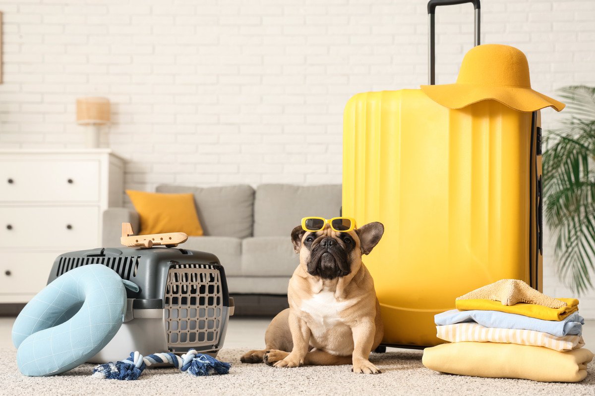 犬と旅行するときに飼い主が守るべき『4つのマナー』何に注意したらいいの？周りへの配慮まで