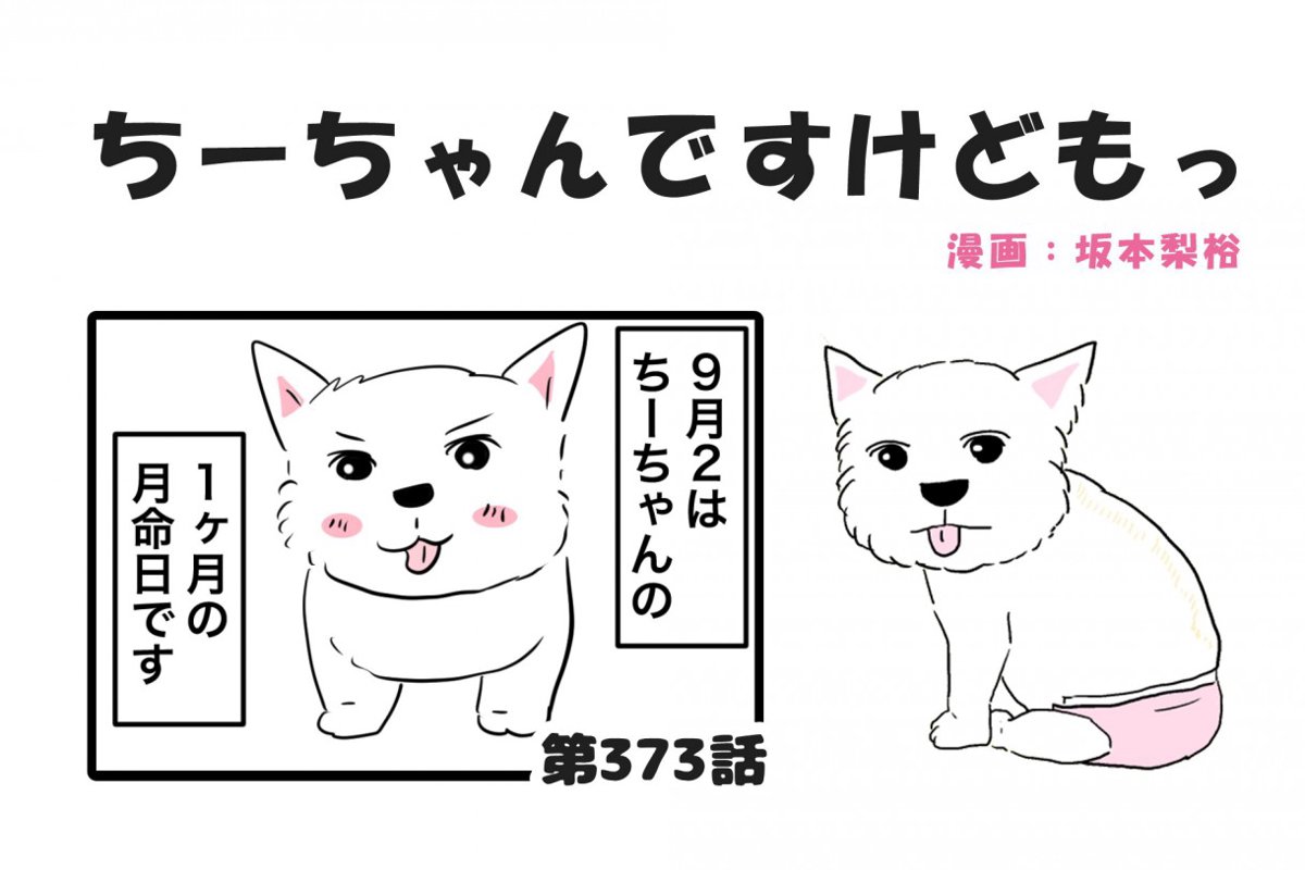 ちーちゃんですけどもっ【第373話】「お盆に帰りましたけどもっ」