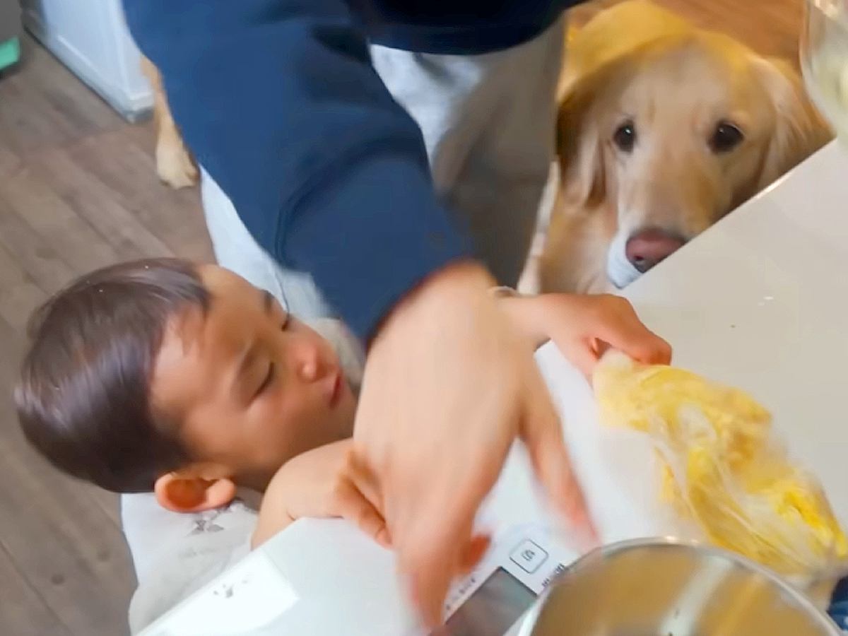 １歳の男の子と大型犬が『一緒にクッキーを作ったら』…カオスな光景と微笑ましい結末が10万再生「粉まみれｗ」「可愛いが溢れてる」と絶賛