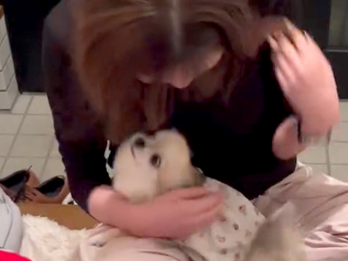5ヶ月ぶりに帰省した娘→こっそり玄関に入った結果、犬が…愛に溢れた『熱烈大歓迎』が15万再生「一生懸命に甘えてて可愛い」「お耳が最高」