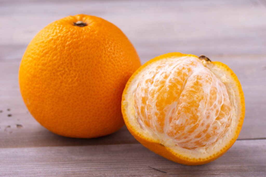 犬にはっさく（八朔）を食べさせても大丈夫？与える量や注意点、皮の危険性を解説