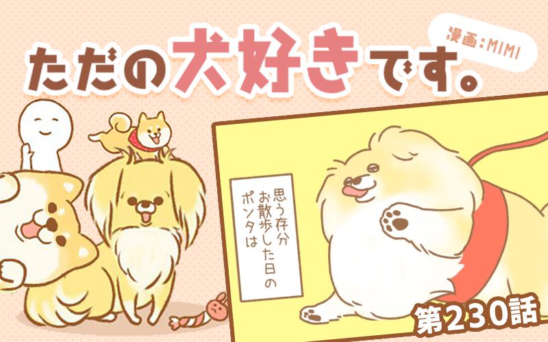 ただの犬好きです。【第230話】「充実の1日」