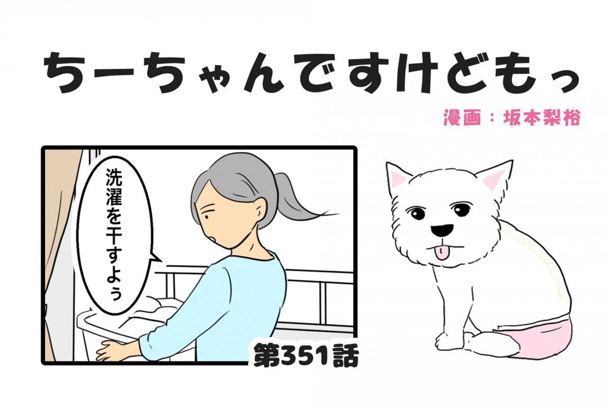 ちーちゃんですけどもっ【第351話】「何見てももう可愛い」