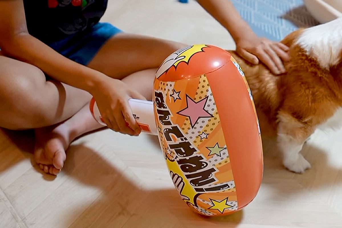中学生の娘が、12歳の老犬に『クセ強な絡み方をした』結果→ブチギレながらも…ほっこりする光景に絶賛「仲良し」「なんだかんだ大好きだね」