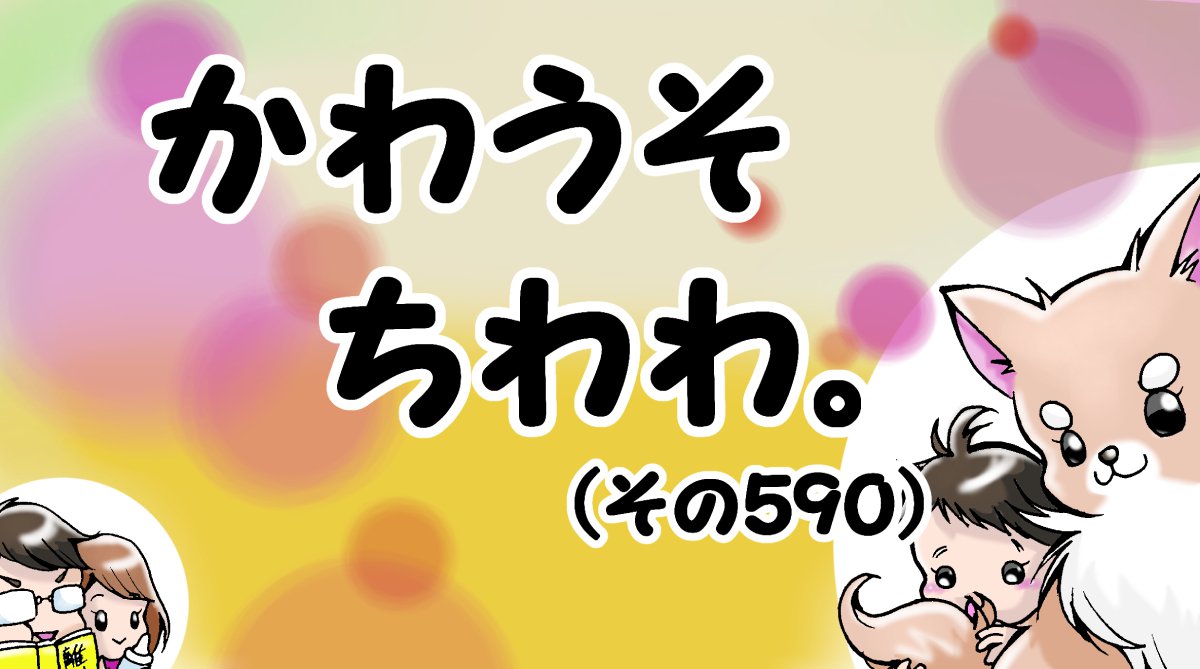 かわうそちわわ。【その590】「おとーちゃん＜買い物袋」