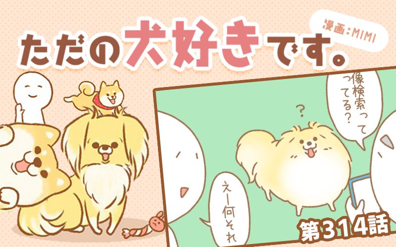 ただの犬好きです。【第314話】「画像検索」