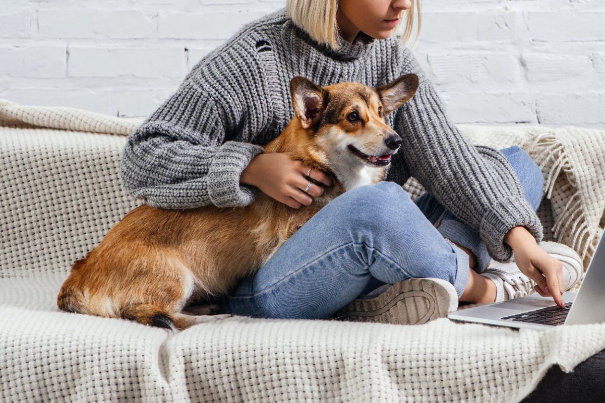 犬が『人の足に乗っかる』心理5つ　可愛い理由や飼い主がすべき適切な対応とは？