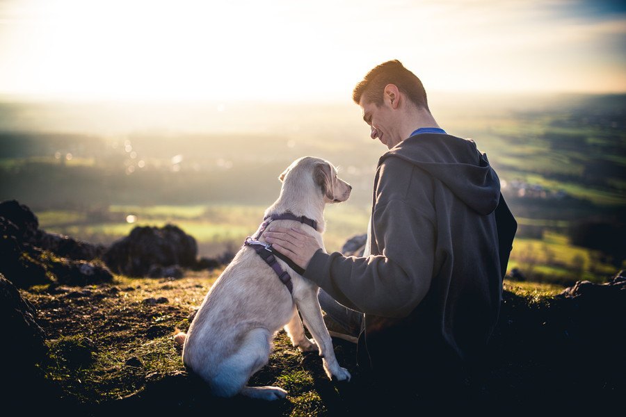 犬が『懐いてくれない！』主な原因と、仲良くなるための秘策を解説