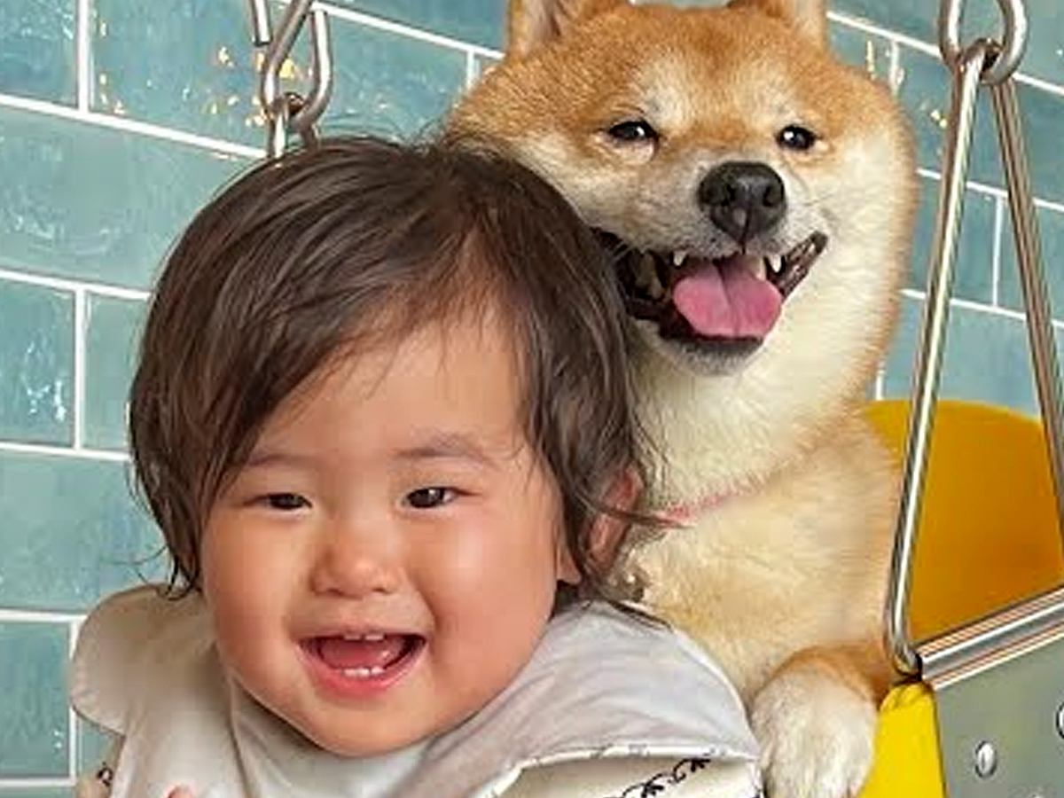 犬とブランコで遊んでいたら、1歳の女の子が『乗りたい』と言い出して…あまりにも尊い『一緒に楽しむ光景』が60万再生「幸せが溢れてる」