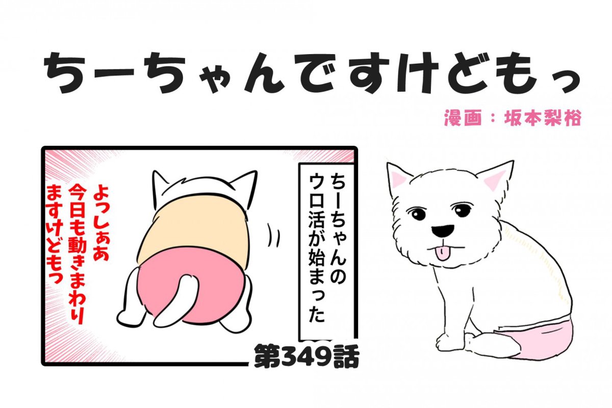 ちーちゃんですけどもっ【第349話】「夜中の徘徊は色々パターンがあるらしい」
